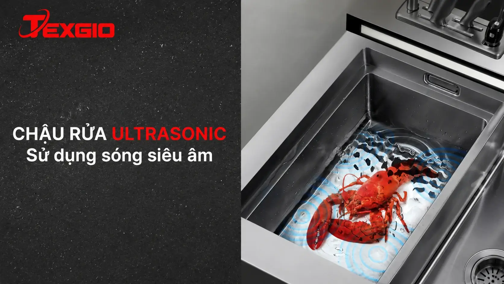 Chậu rửa siêu âm trên máy rửa bát liền chậu, dùng sóng siêu âm để hỗ trợ làm sạch hải sản trong bồn inox