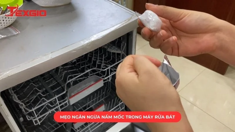 Mẹo ngăn ngừa nấm mốc trong máy rửa bát hiệu quả