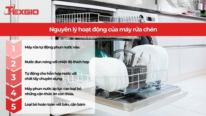 Nguyên lý hoạt động của máy rửa chén