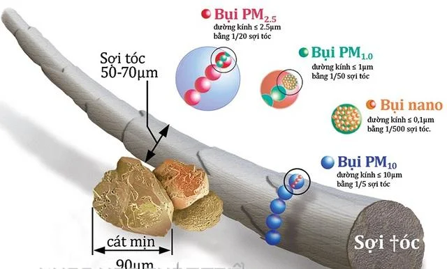 mô phỏng so sánh kích thước của từng loại bụi